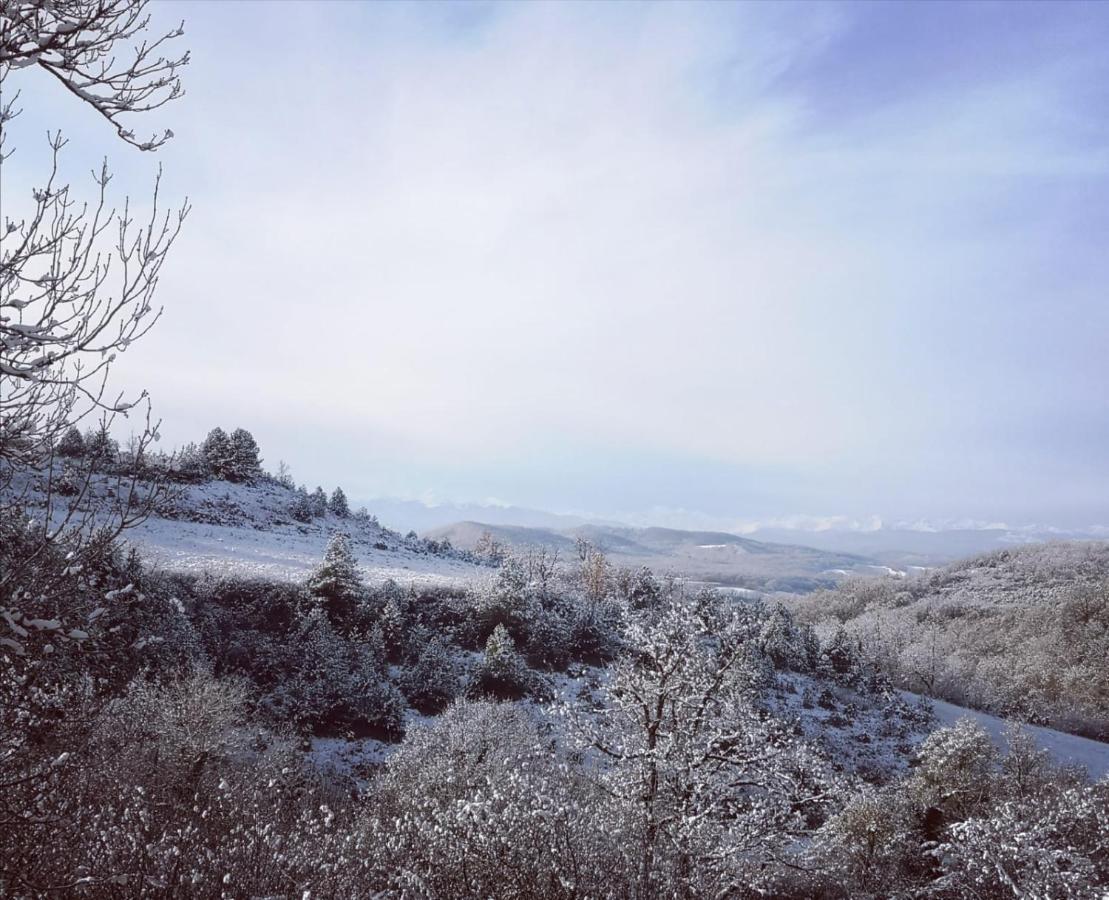 Terres De Barrejat Villa Cazals-des-Bayles Екстериор снимка