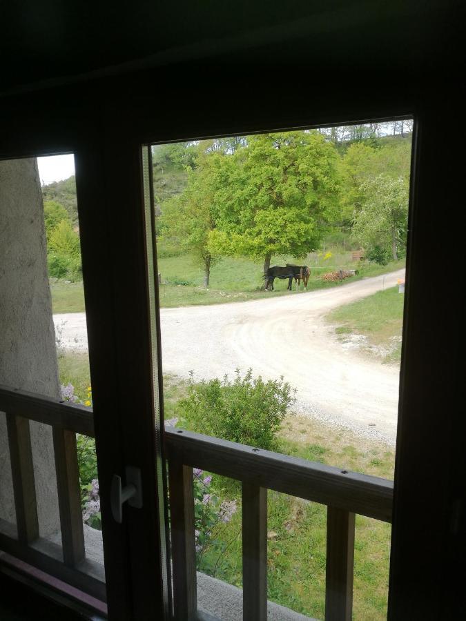 Terres De Barrejat Villa Cazals-des-Bayles Екстериор снимка